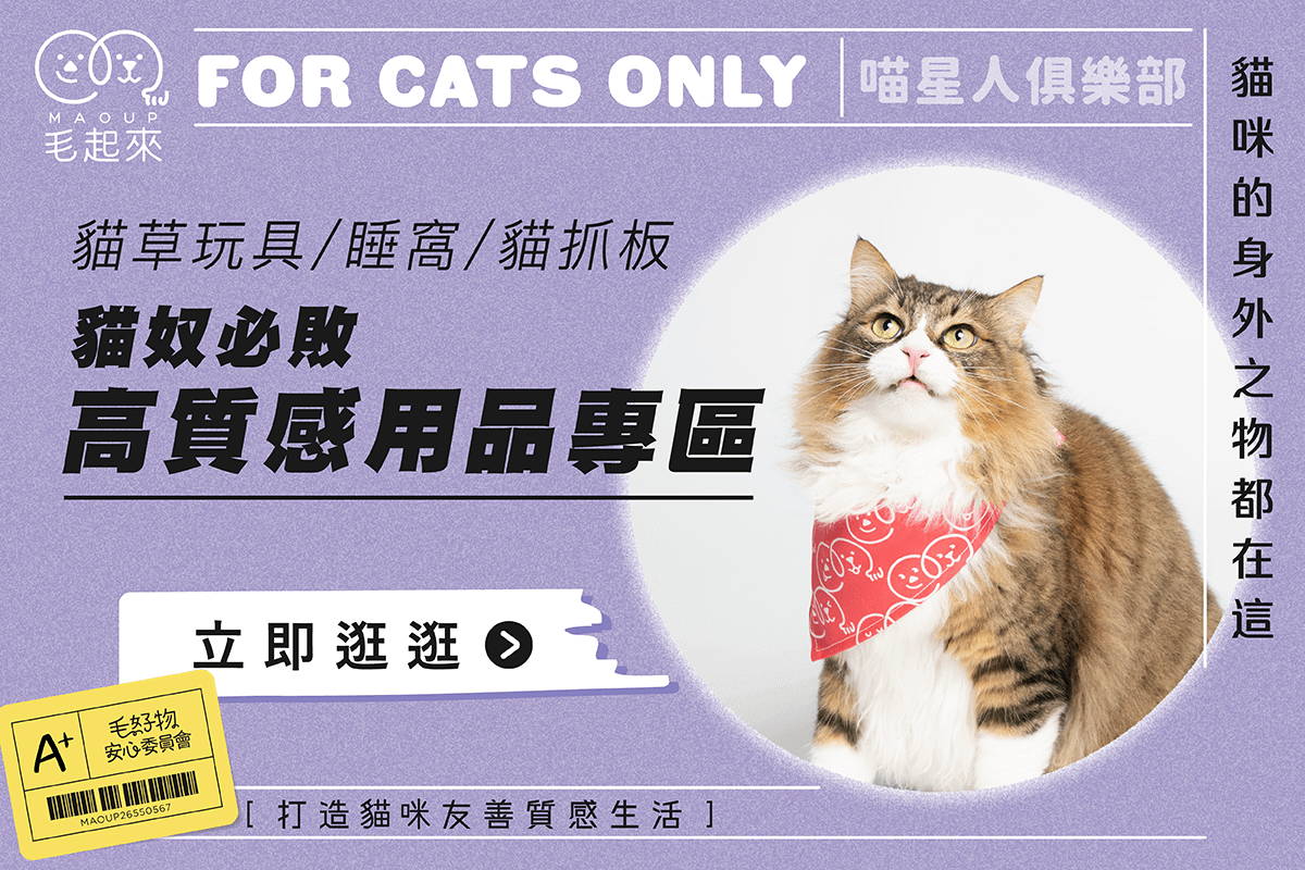 貓奴必敗！精選質感貓咪用品！