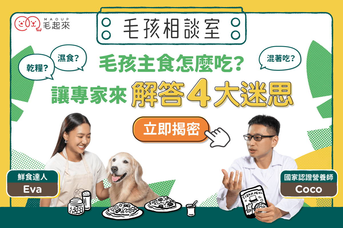 毛孩主食到底怎麼吃？讓專家來解答4大迷思