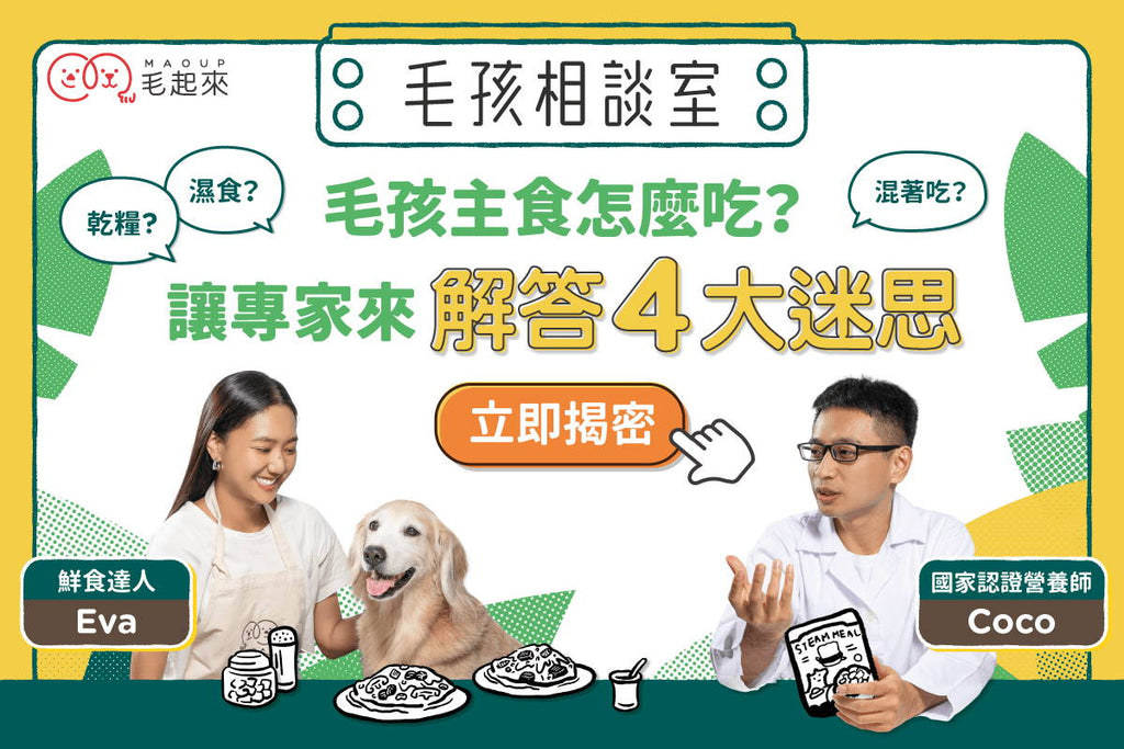 毛孩主食到底怎麼吃？讓專家來解答4大迷思