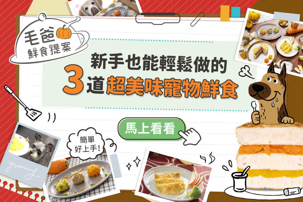 毛爸鮮食提案！新手也能輕鬆做的３道寵物鮮食