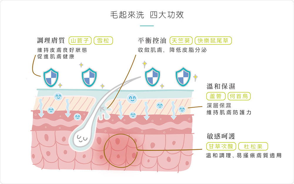 【毛起來】草本養護│癢癢退散洗毛精-汪汪專用