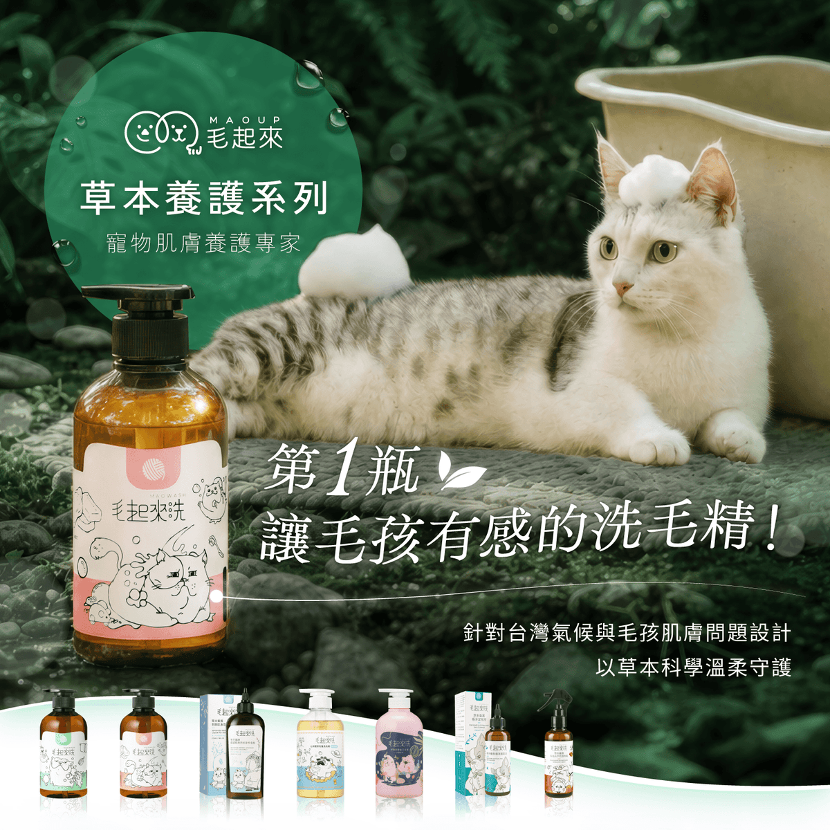 【毛起來】草本養護│癢癢退散洗毛精-貓貓專用