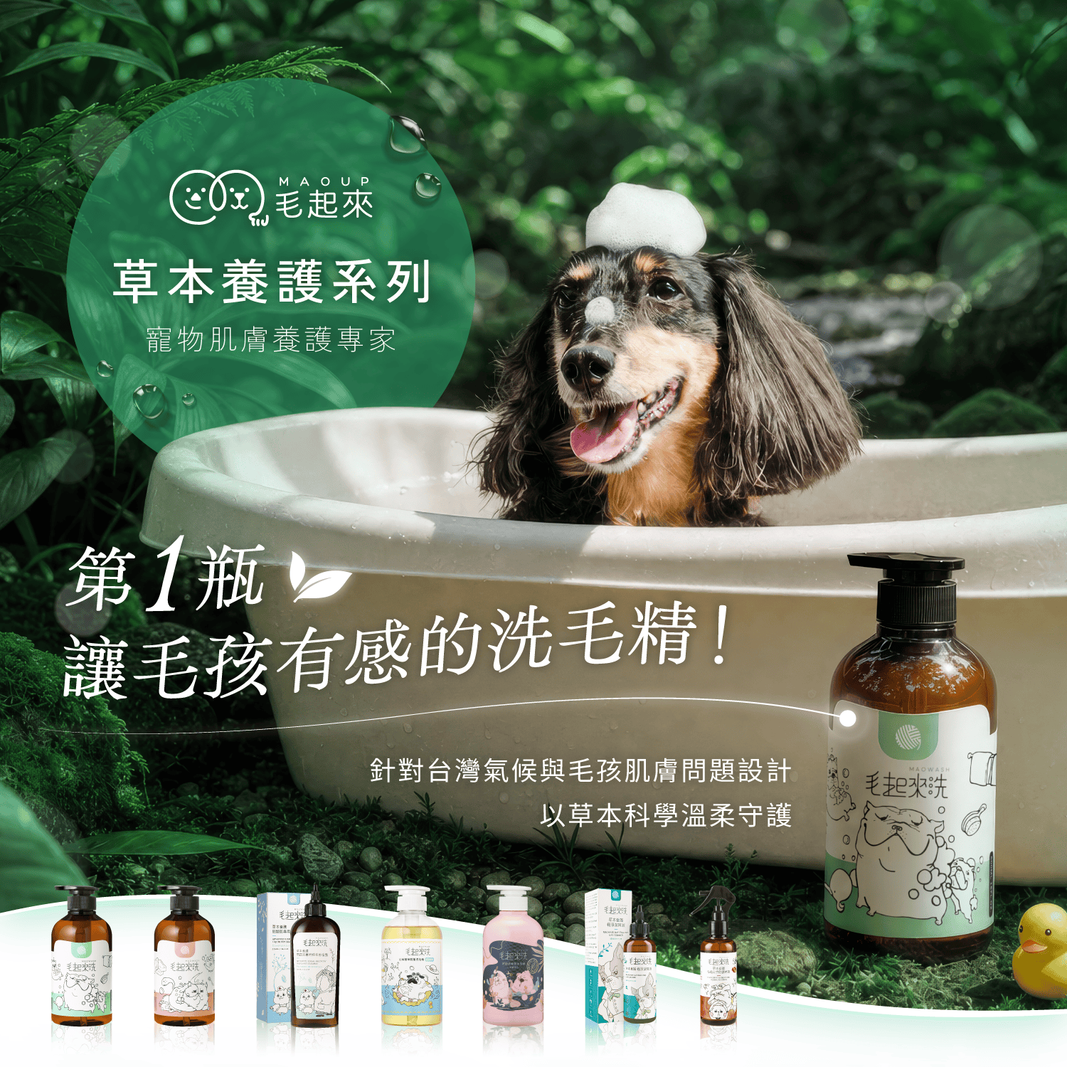 【毛起來】草本養護│癢癢退散洗毛精-汪汪專用