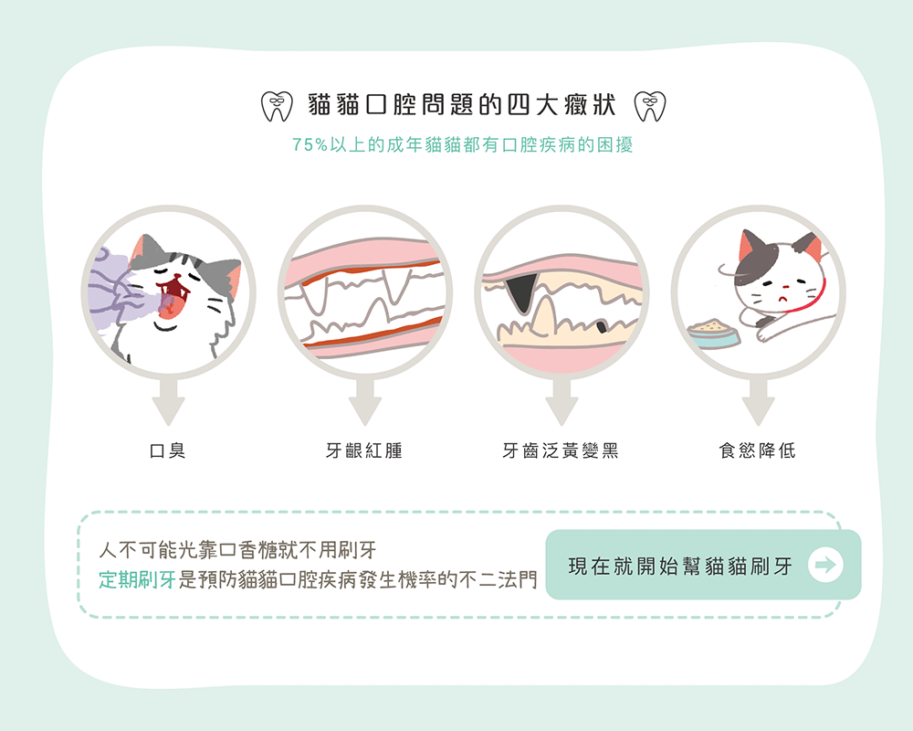 【毛起來】口腔對策│喵口回春潔牙凝膠