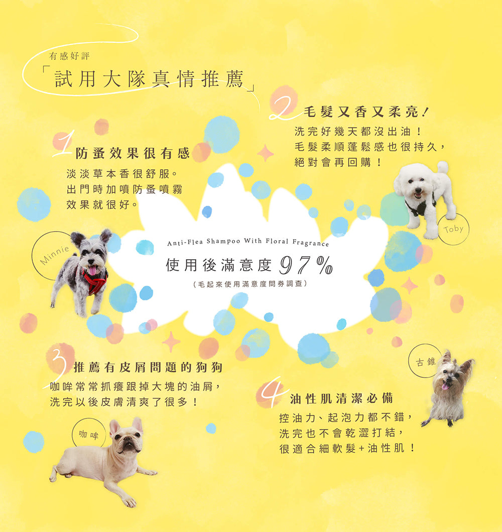 【毛起來】草本養護│沁檸蘭草防蚤洗毛精-汪汪專用 500ml