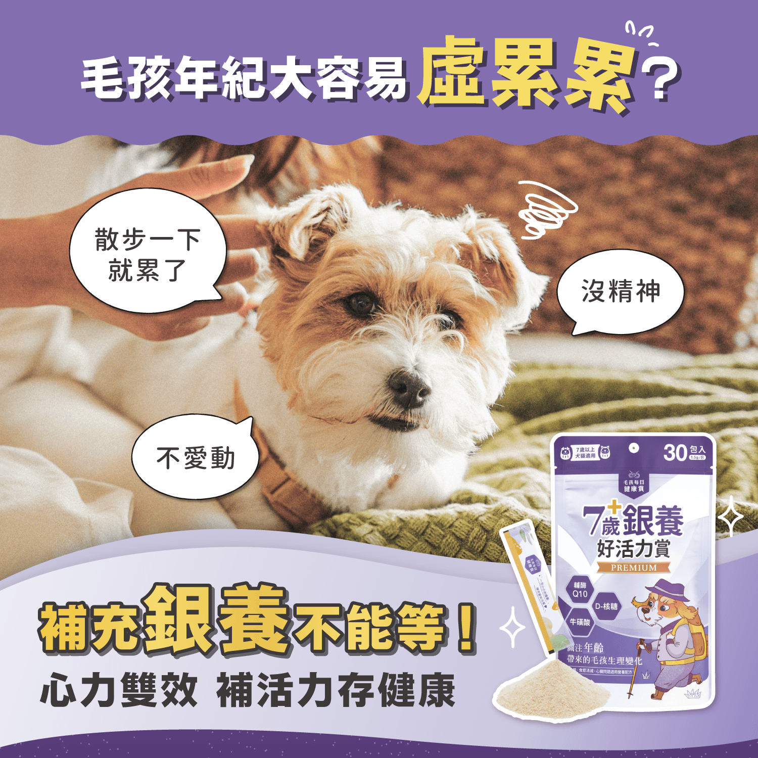 【毛起來】毛孩每日健康賞│7歲+銀養好活力賞