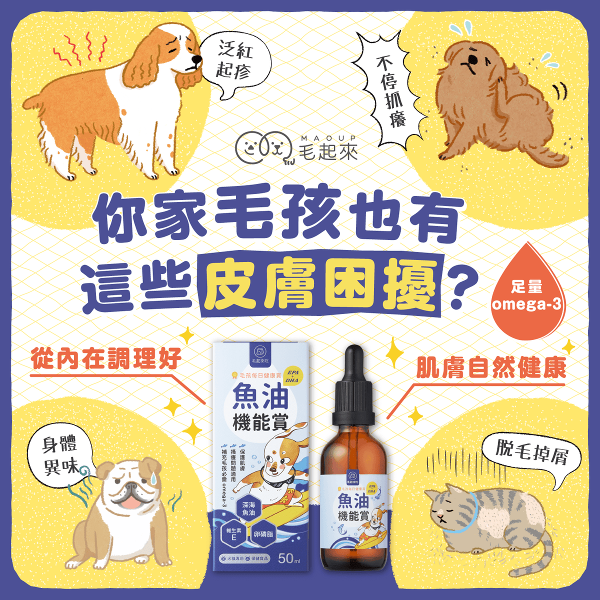 【團購專屬】魚油 EPA+DHA 機能賞