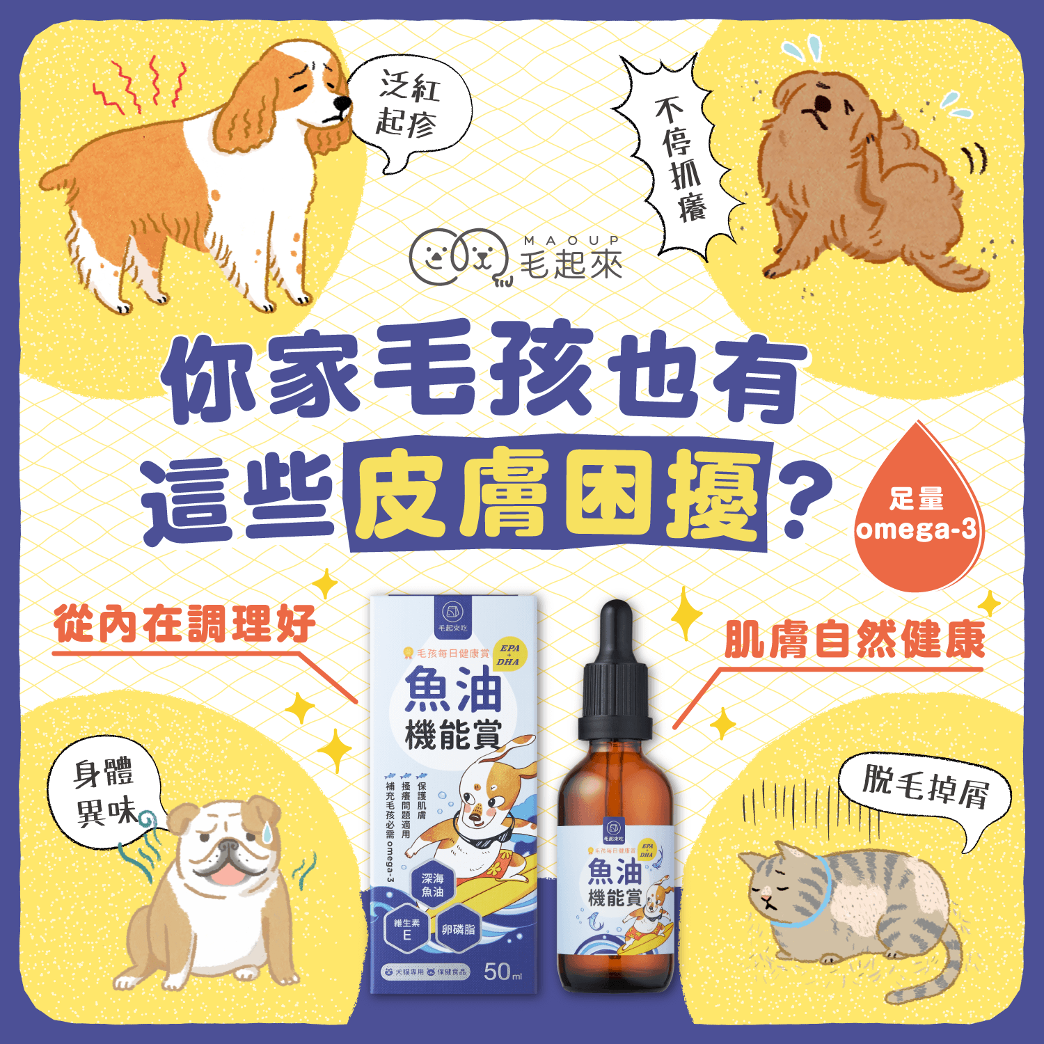 【毛起來】毛孩每日健康賞│魚油 EPA+DHA 機能賞