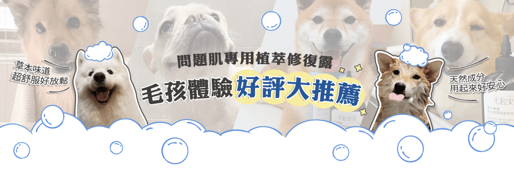 【毛起來】草本養護│問題肌專用植萃修復露