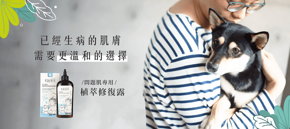 【毛起來】草本養護│問題肌專用植萃修復露