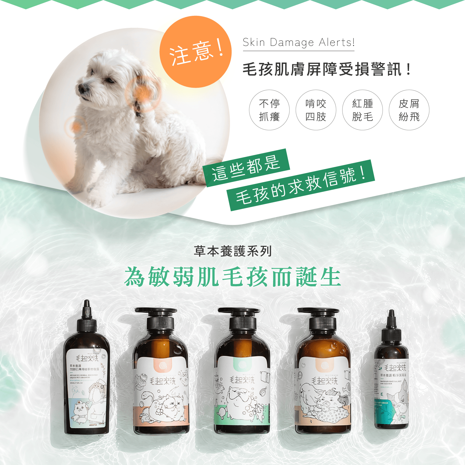 【毛起來】草本養護│癢癢退散洗毛精-汪汪專用