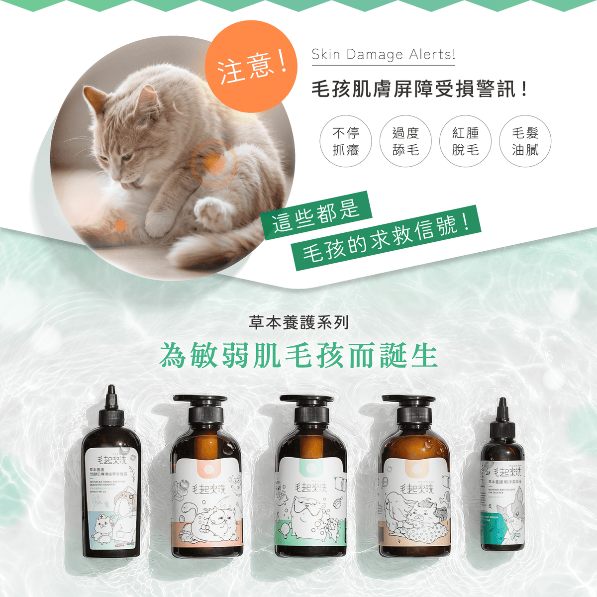 【毛起來】草本養護│癢癢退散洗毛精-貓貓專用