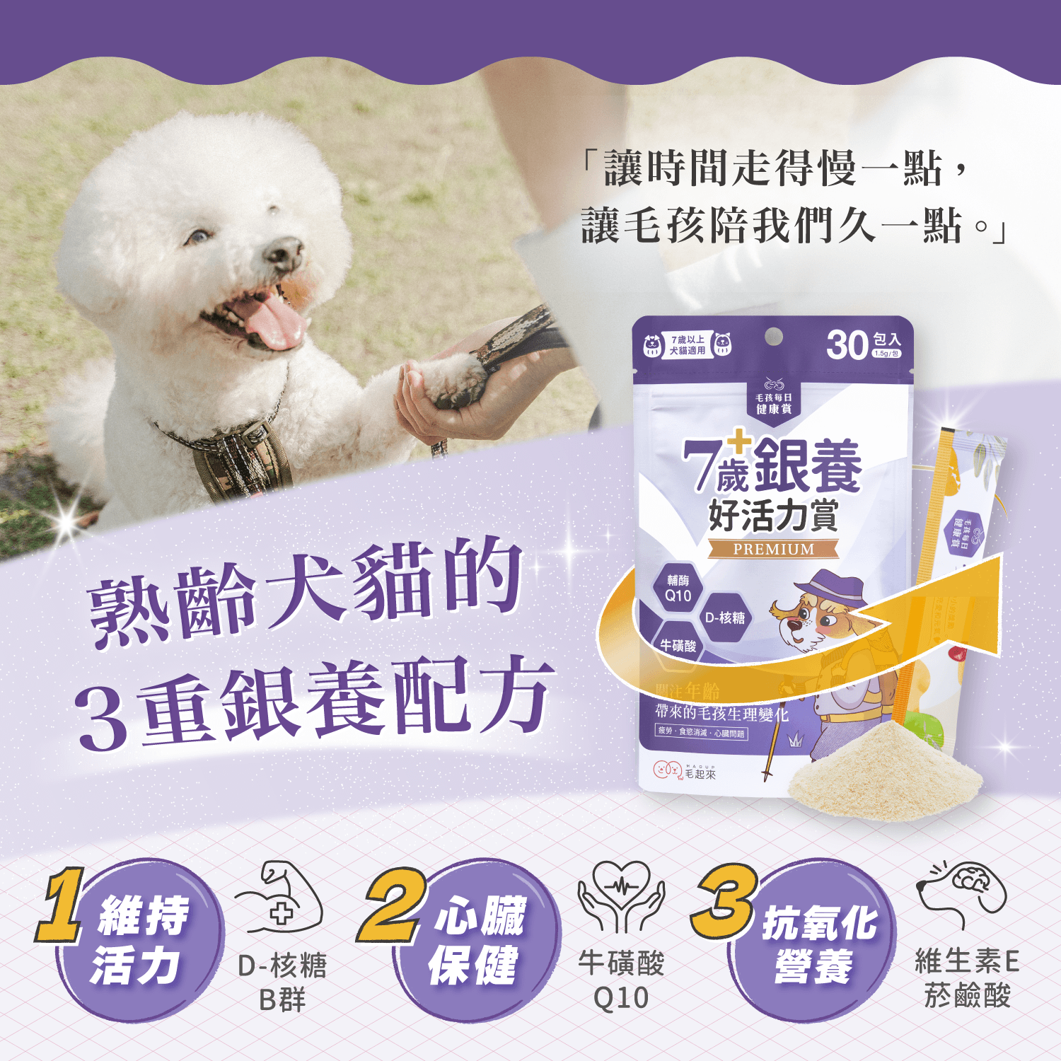 【毛起來】毛孩每日健康賞│7歲+銀養好活力賞