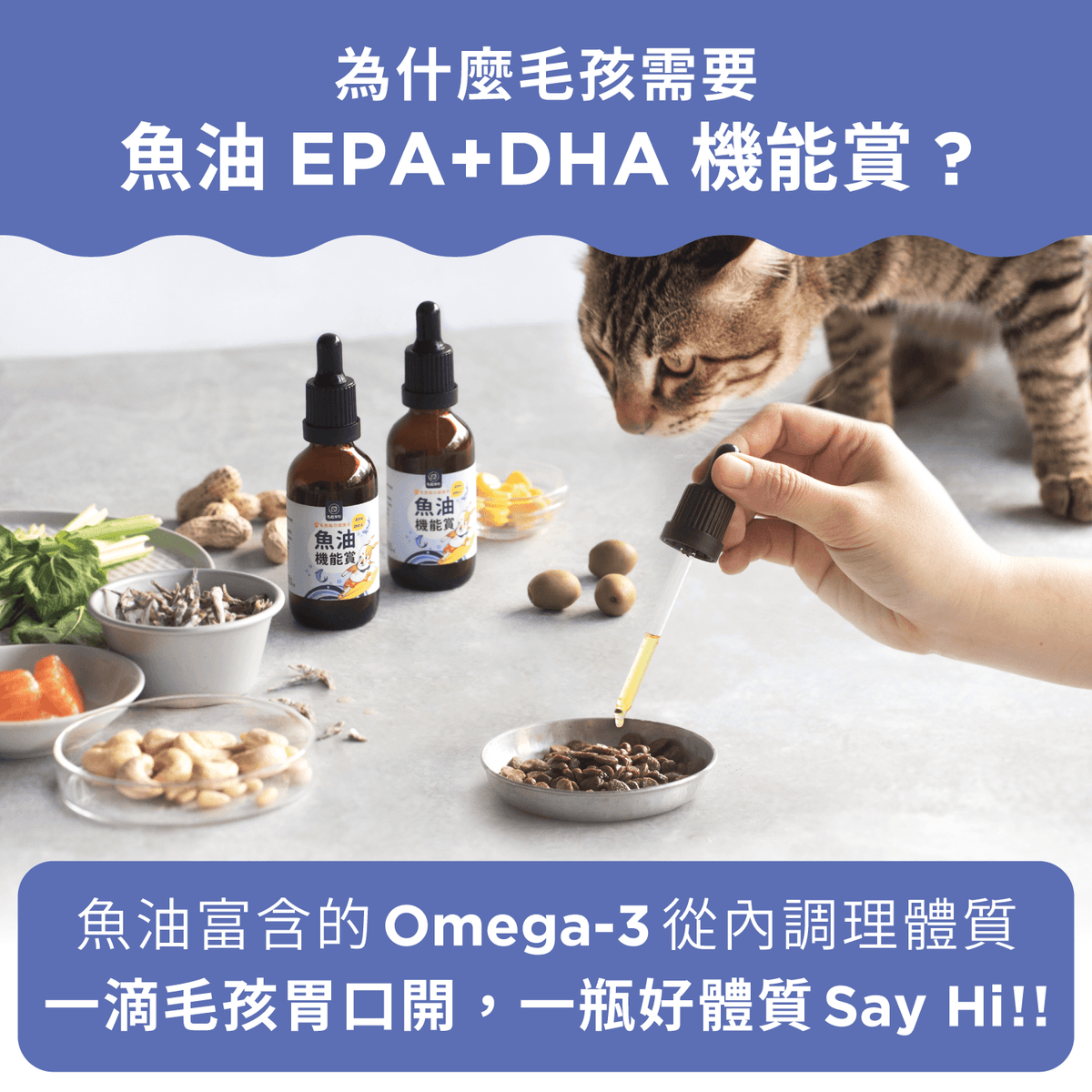 【團購專屬】魚油 EPA+DHA 機能賞