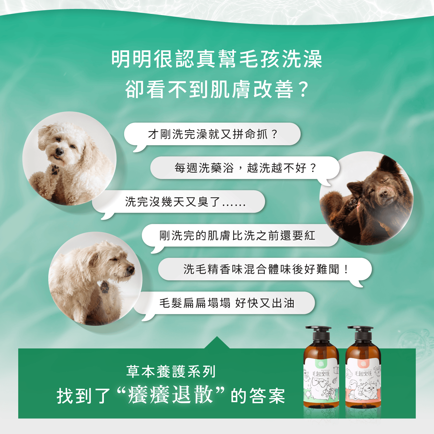 【毛起來】草本養護│癢癢退散洗毛精-汪汪專用
