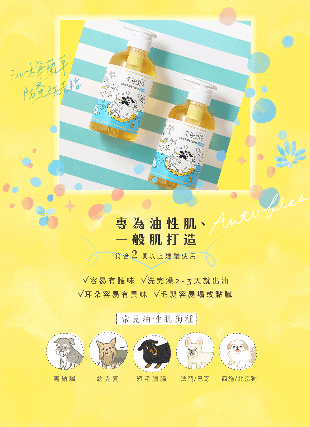 【毛起來】草本養護│沁檸蘭草防蚤洗毛精-汪汪專用 500ml