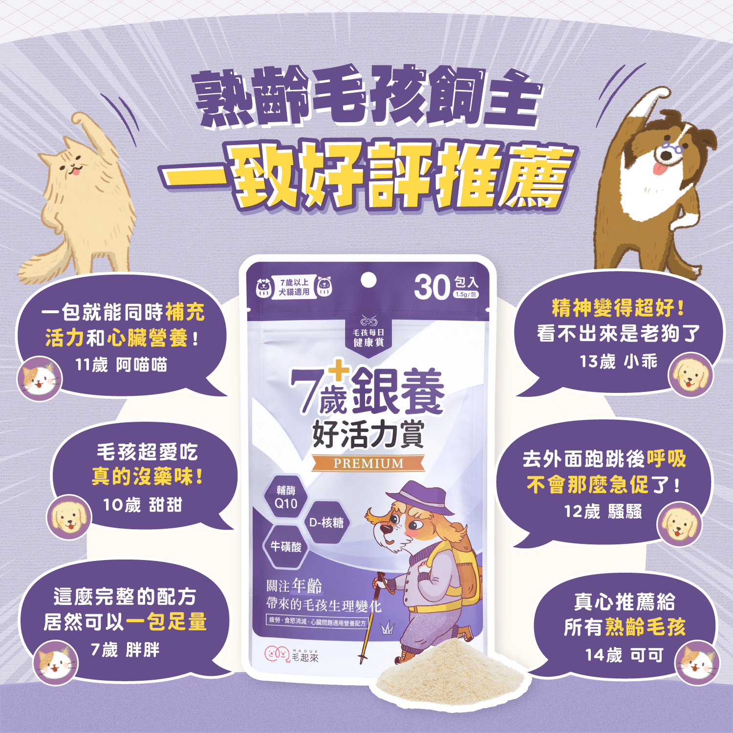 【毛起來】毛孩每日健康賞│7歲+銀養好活力賞