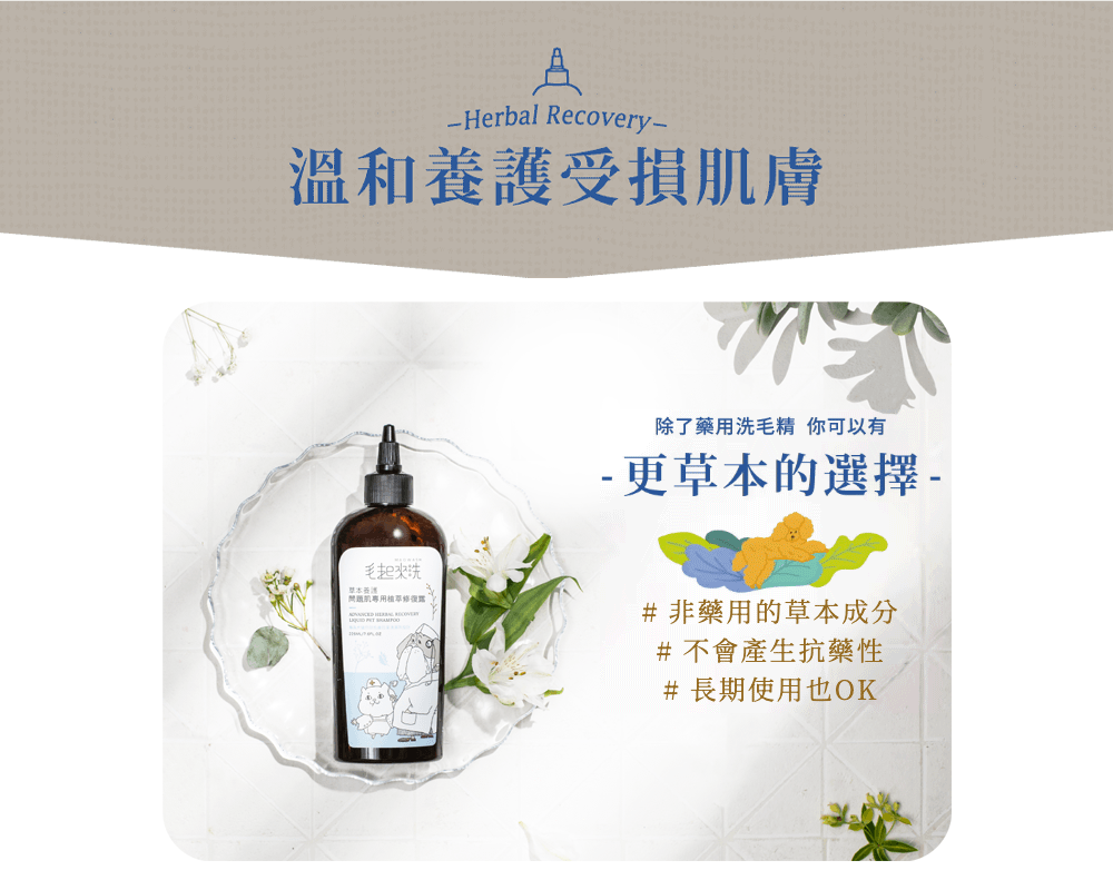 【毛起來】草本養護│問題肌專用植萃修復露