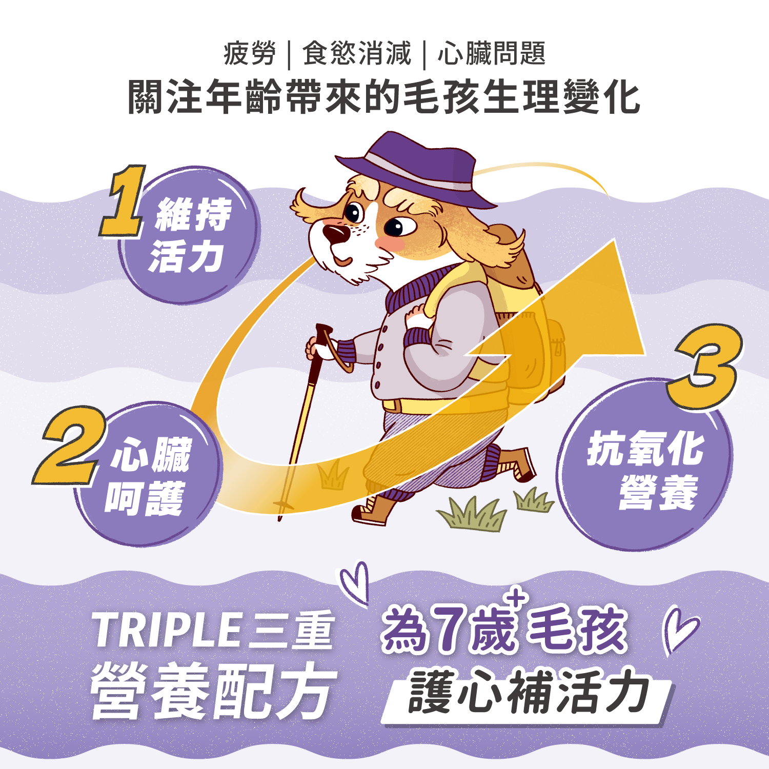 【毛起來】毛孩每日健康賞│7歲+銀養好活力賞