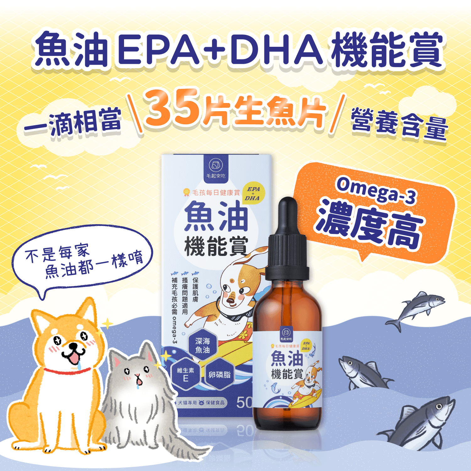 【毛起來】毛孩每日健康賞│魚油 EPA+DHA 機能賞