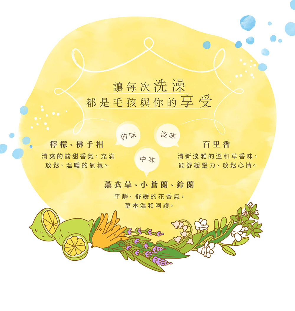 【團購】控油洗護組