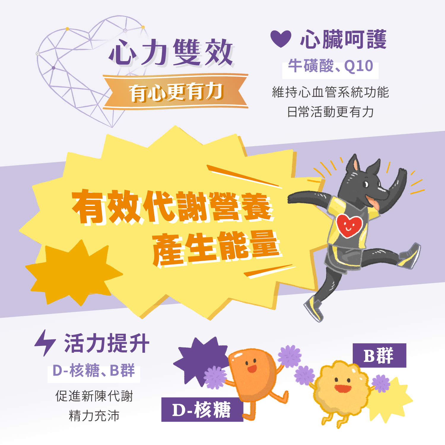 【毛起來】毛孩每日健康賞│7歲+銀養好活力賞