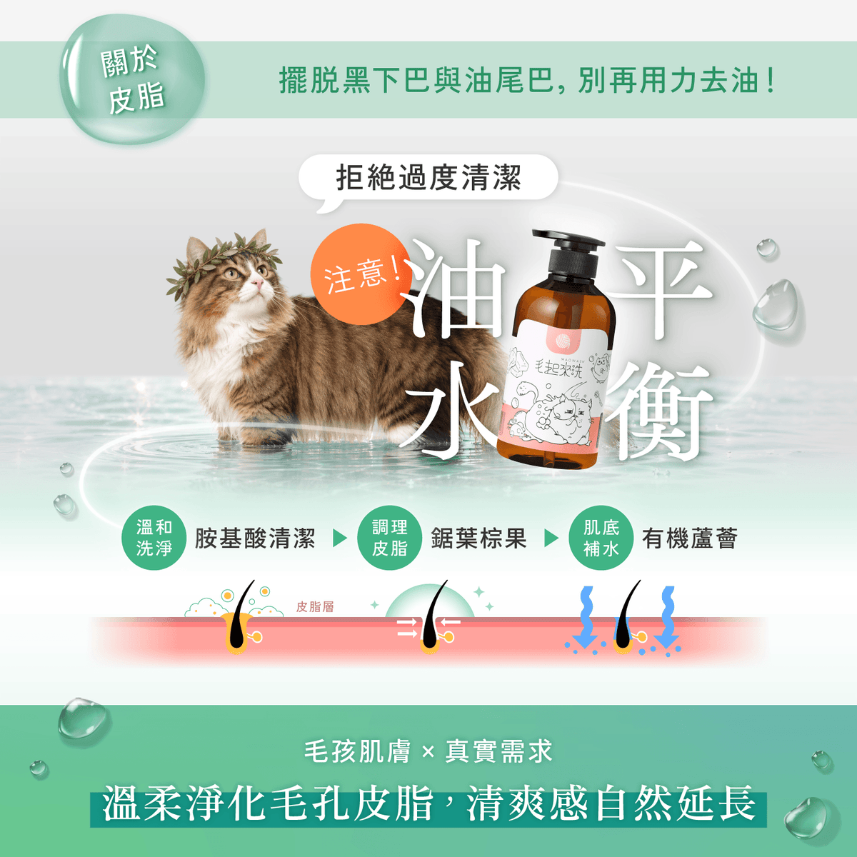 【毛起來】草本養護│癢癢退散洗毛精-貓貓專用