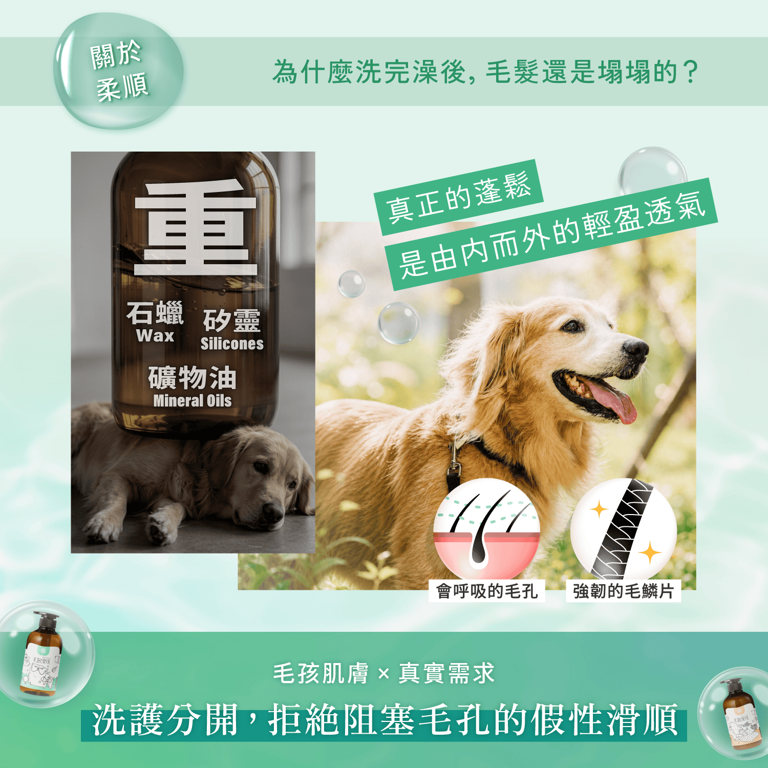 【毛起來】草本養護│癢癢退散洗毛精-汪汪專用