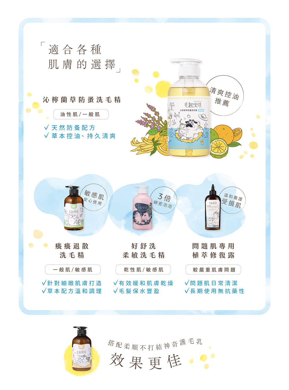 【毛起來】草本養護│沁檸蘭草防蚤洗毛精-汪汪專用 500ml