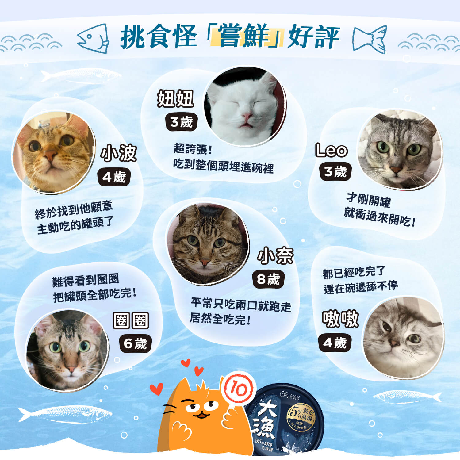 【毛起來】大漁罐-極鮮海味主食罐｜貓用