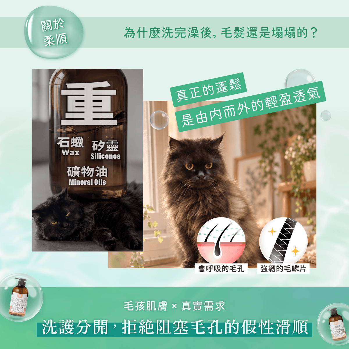 【毛起來】草本養護│癢癢退散洗毛精-貓貓專用