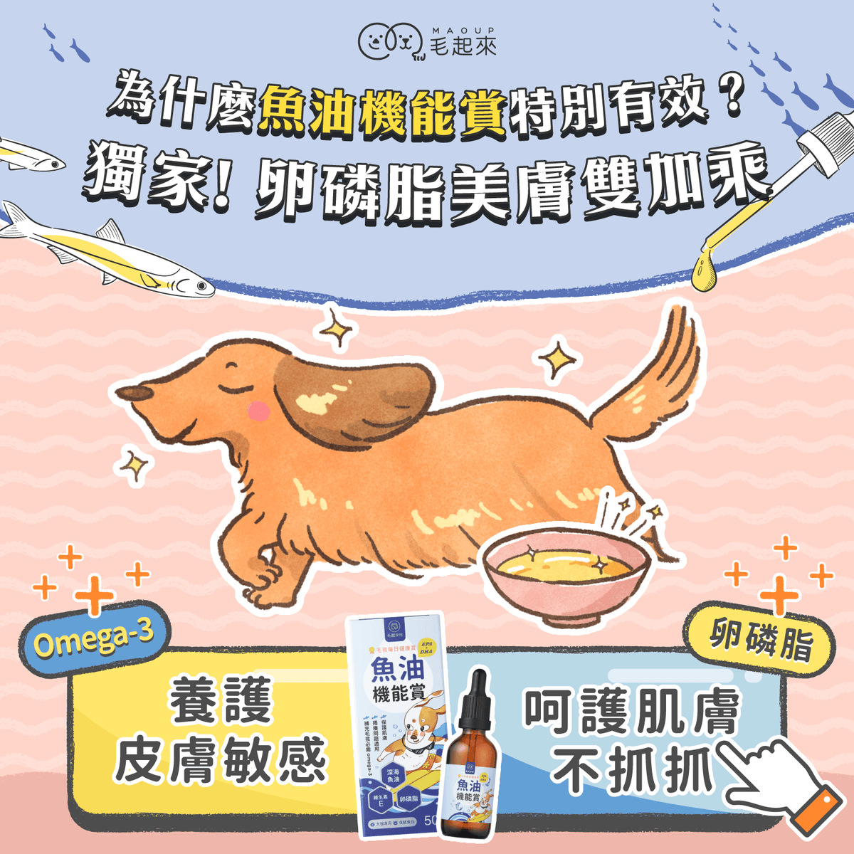 【團購專屬】魚油 EPA+DHA 機能賞