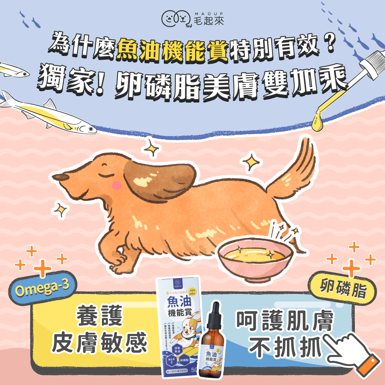 【毛起來】毛孩每日健康賞│魚油 EPA+DHA 機能賞
