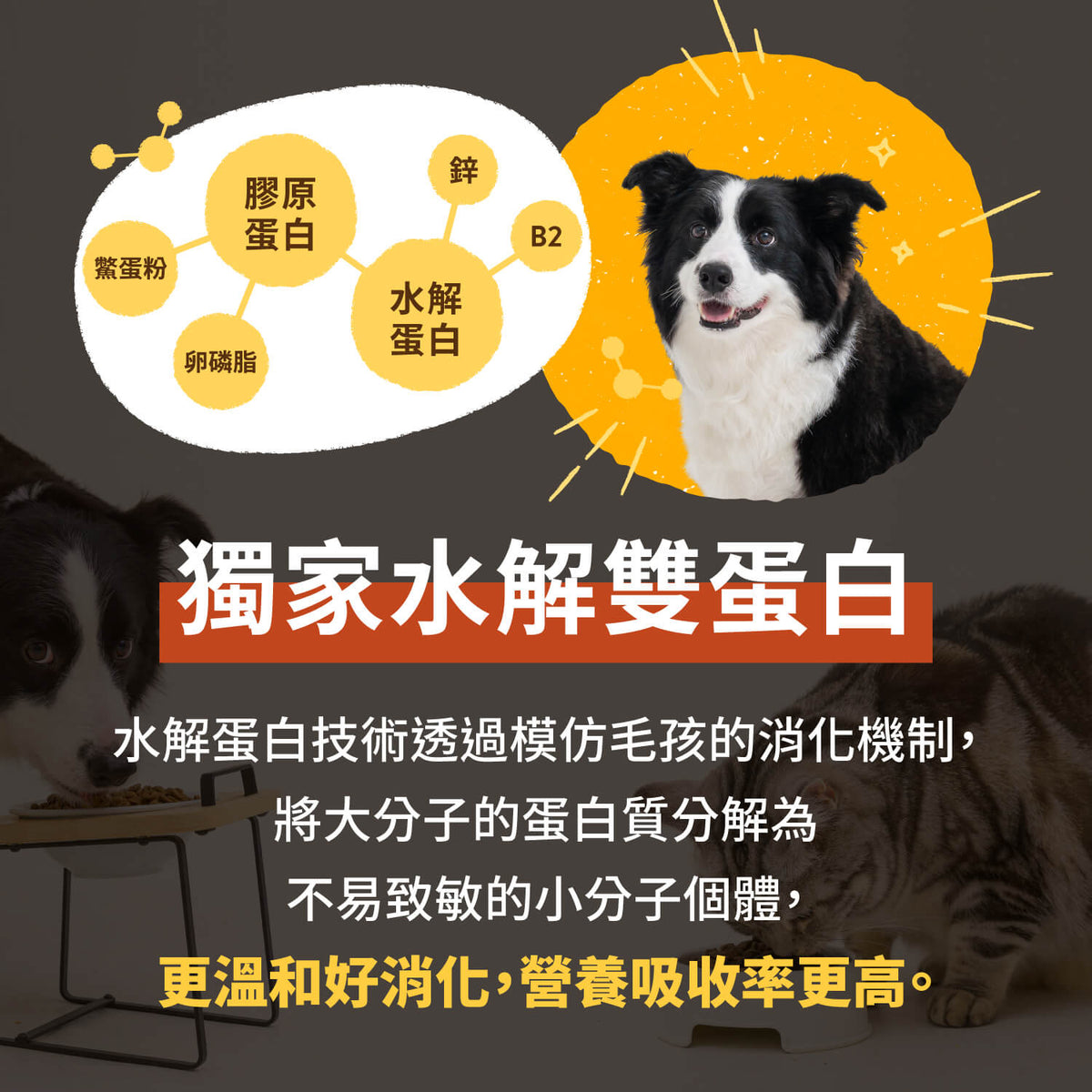 【毛起來】護膚低敏鮮肉主食罐｜犬用