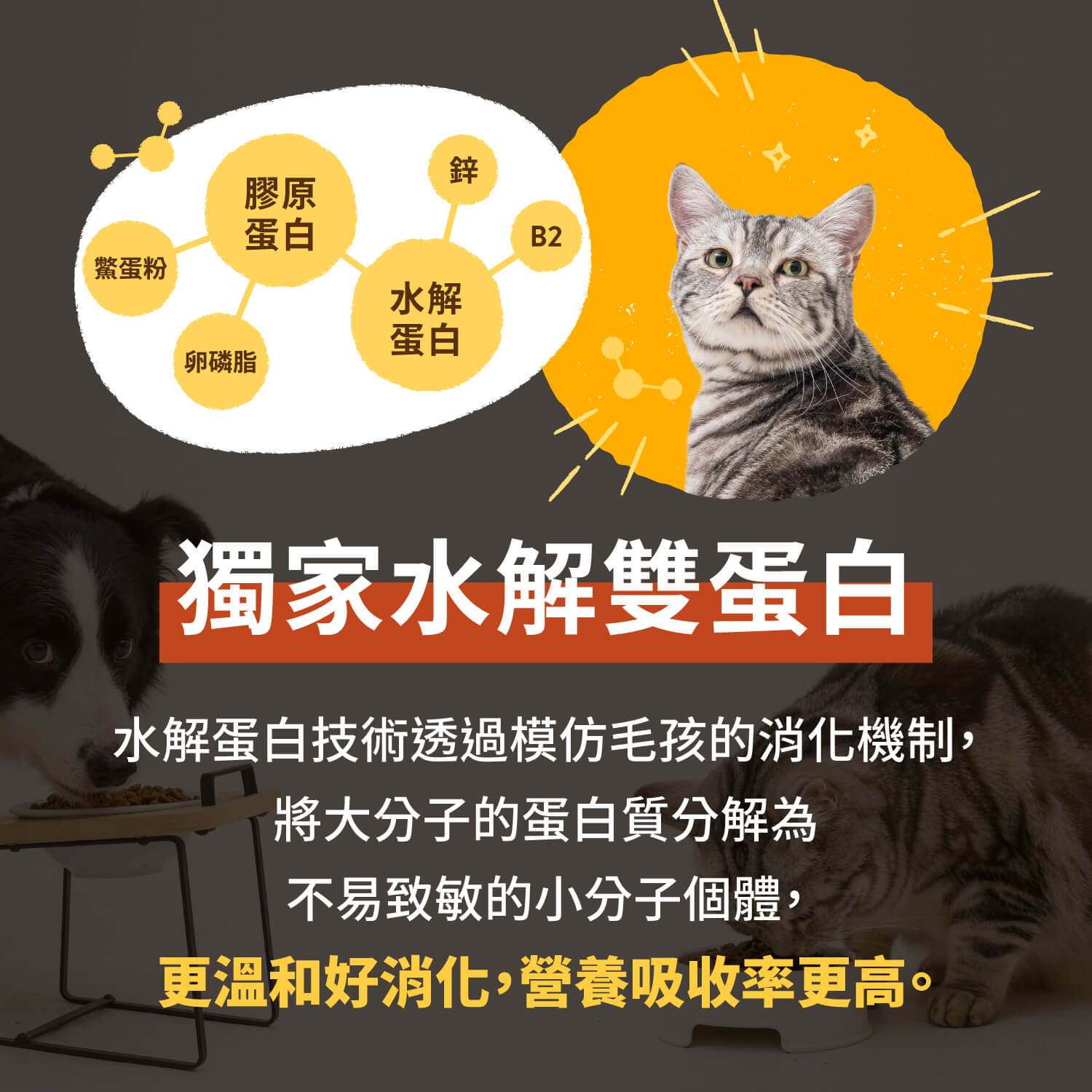 【毛起來】護膚低敏鮮肉主食罐｜貓用