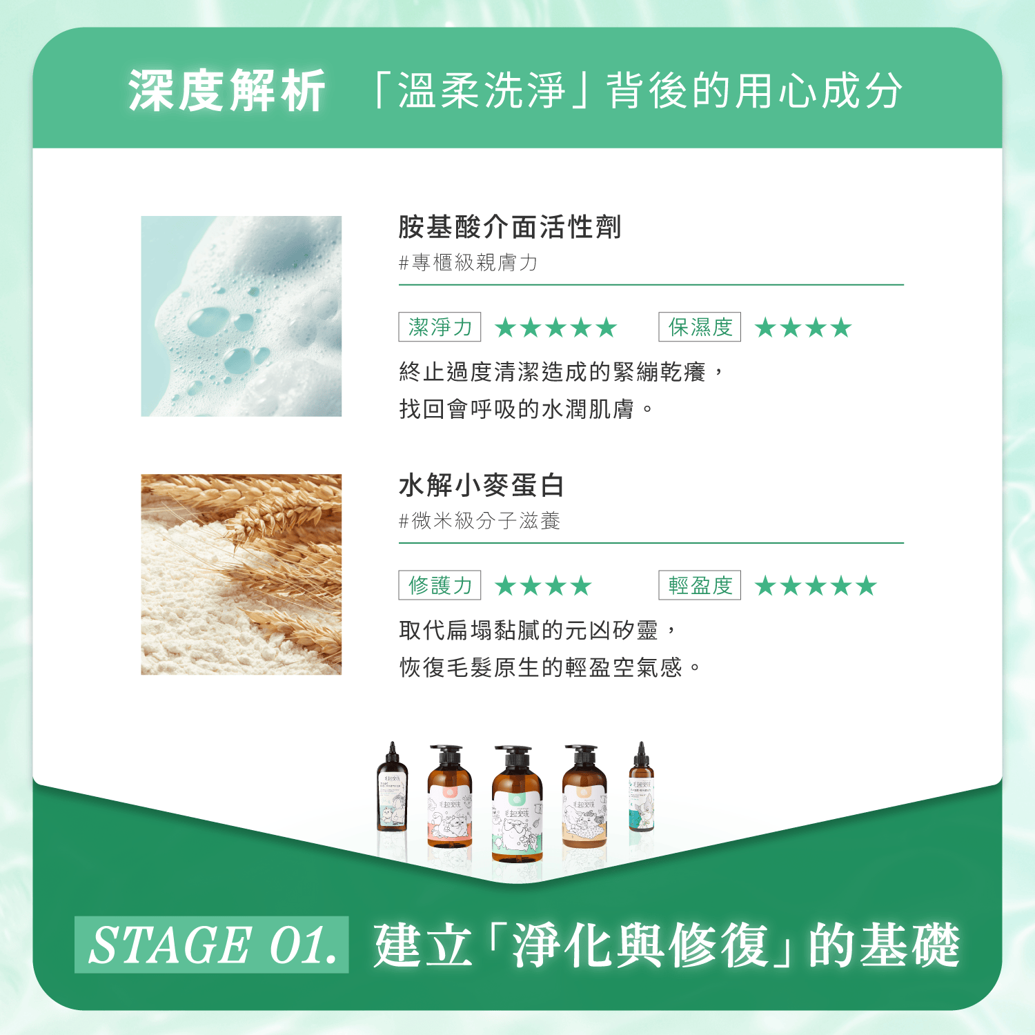 【毛起來】草本養護│癢癢退散洗毛精-汪汪專用