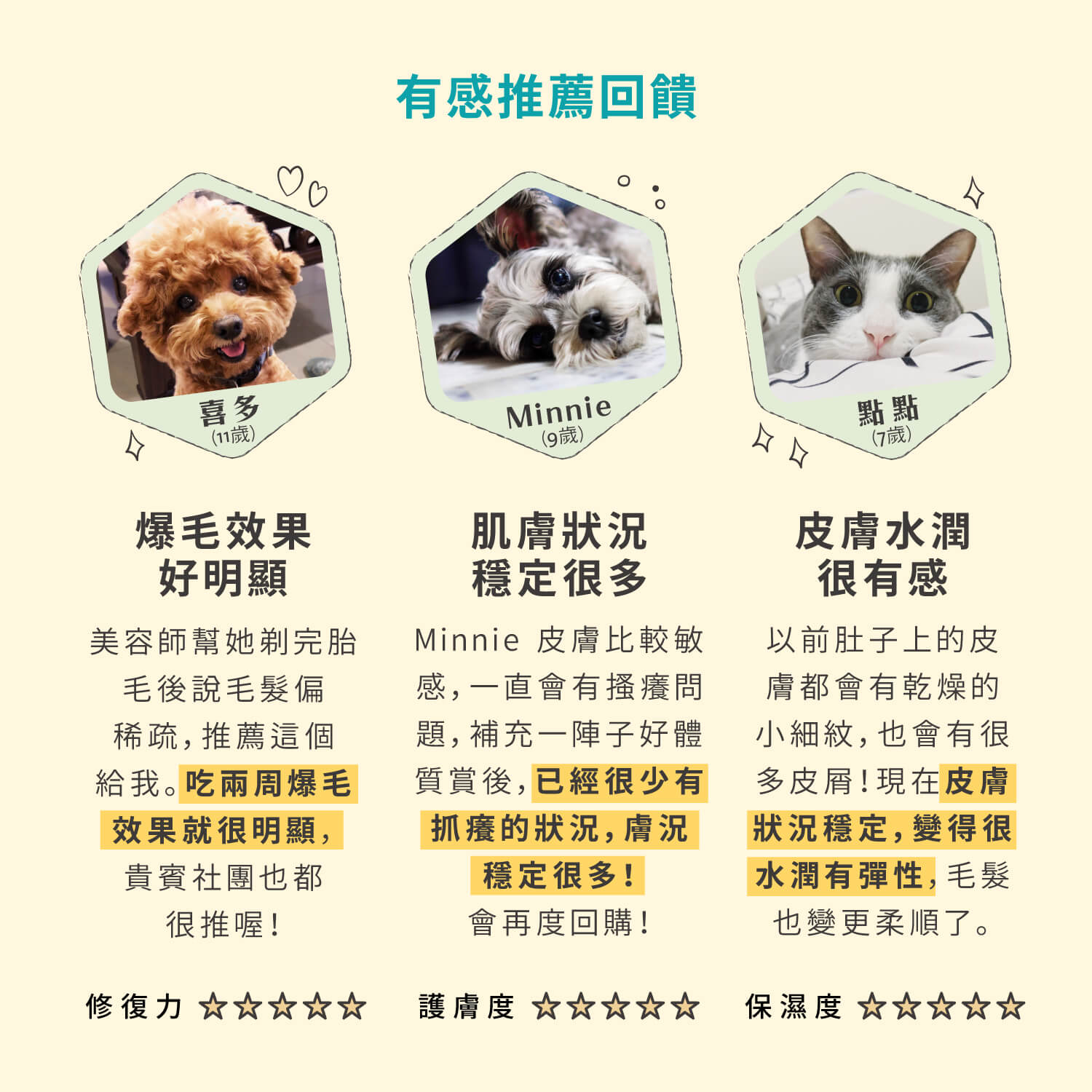 【毛起來】毛孩每日健康賞│美膚好體質賞