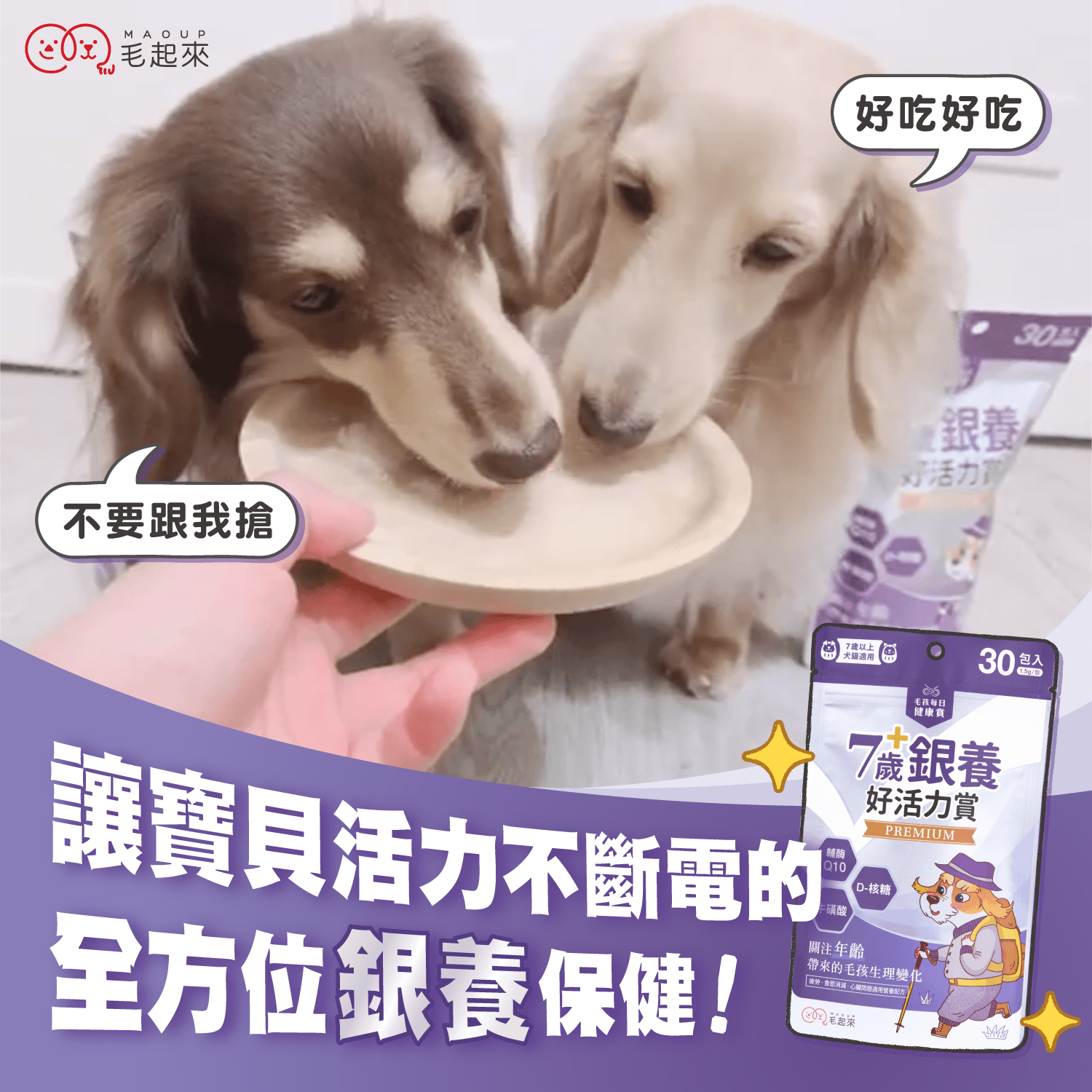 【毛起來】試用體驗組│7歲+銀養好活力賞(3入嘗鮮包)