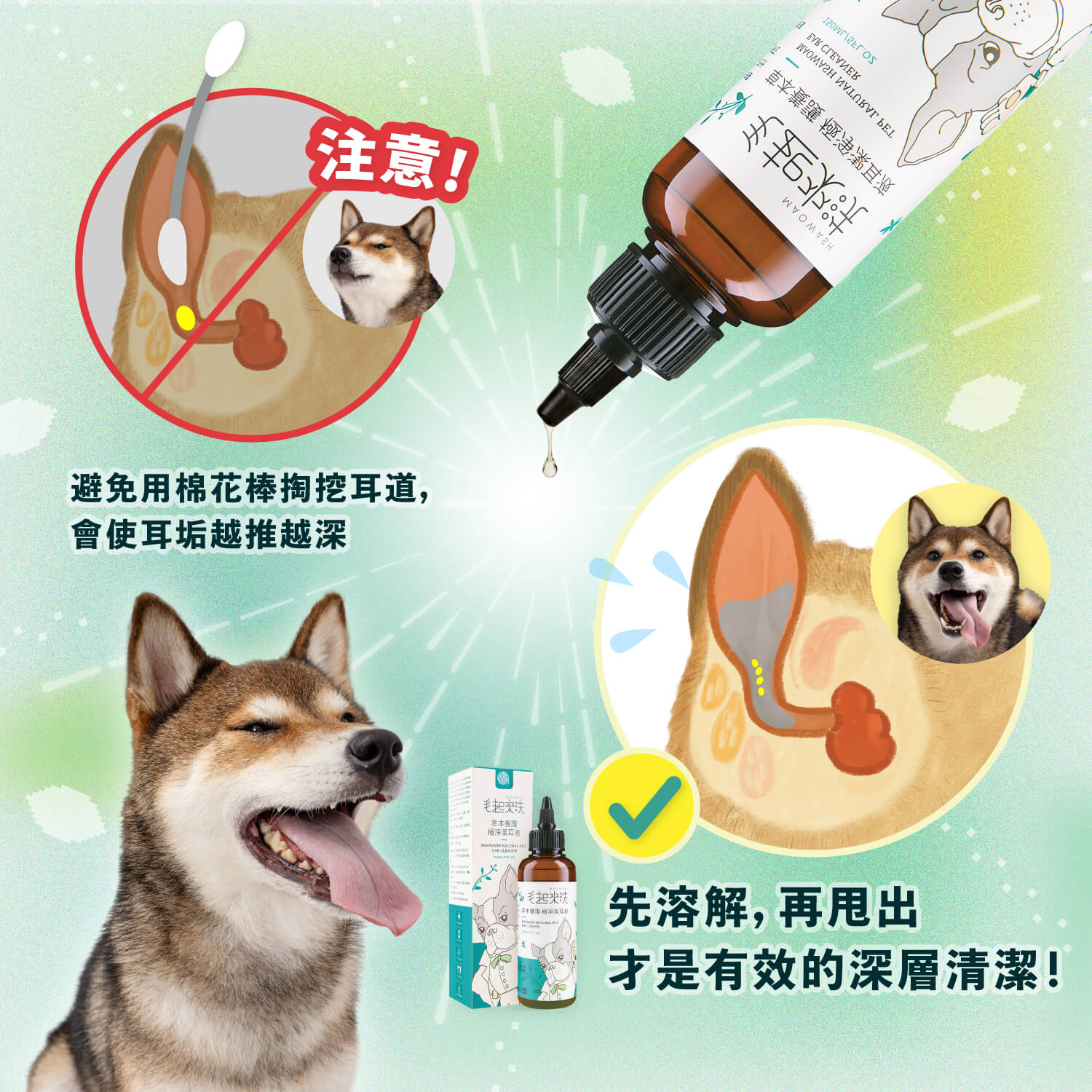 【毛起來】草本養護│極淨潔耳液