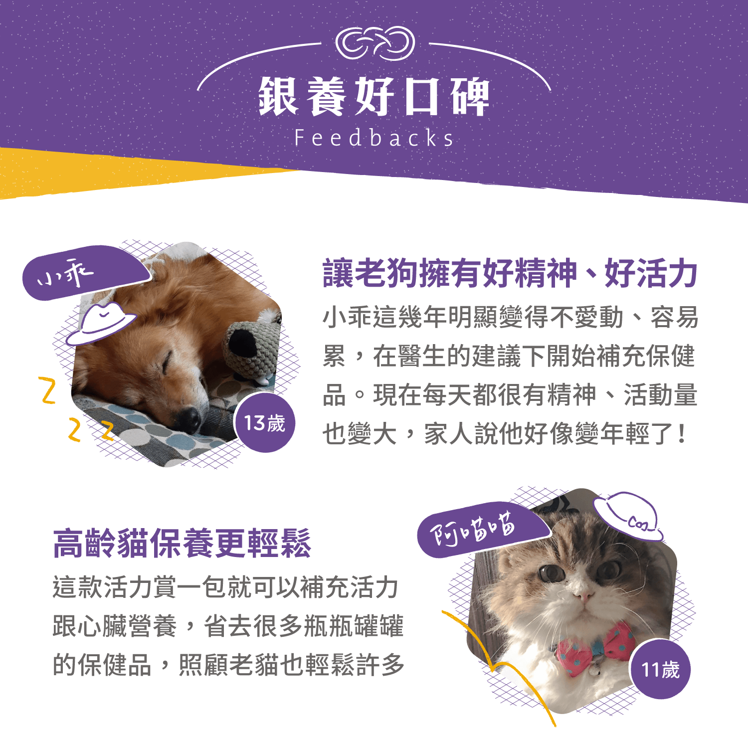 【毛起來】試用體驗組│7歲+銀養好活力賞(3入嘗鮮包)