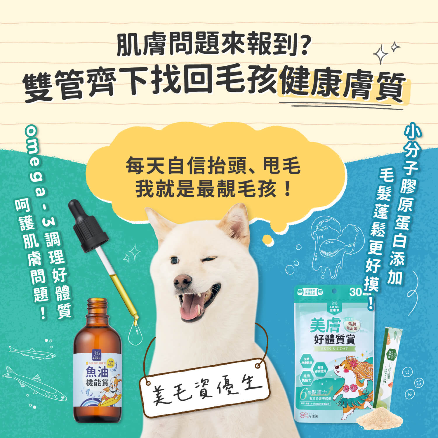 【毛起來】毛孩每日健康賞│美膚好體質賞