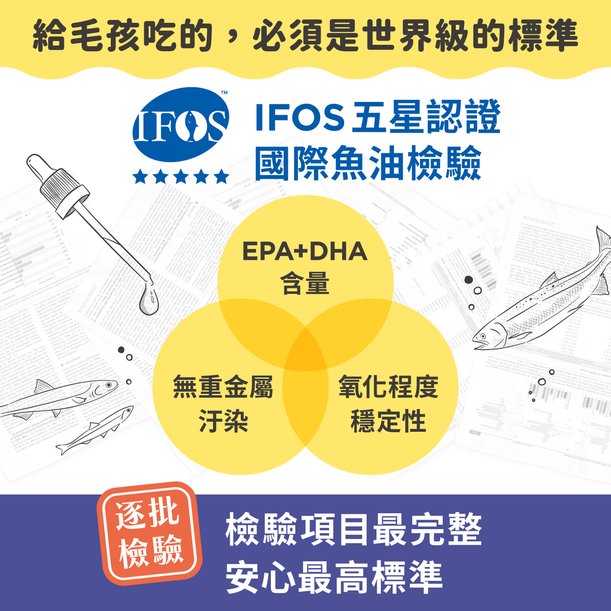 【團購專屬】魚油 EPA+DHA 機能賞