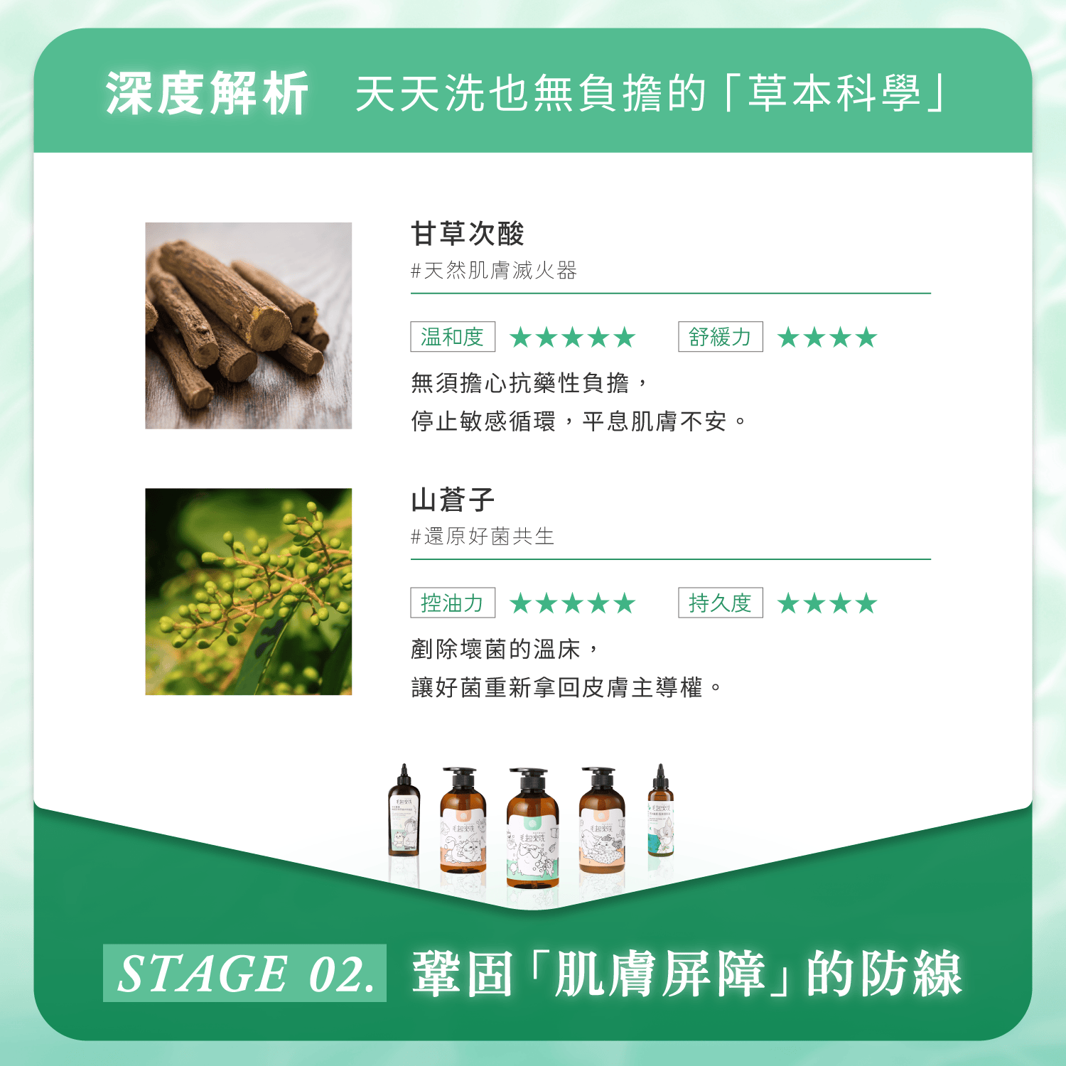 【毛起來】草本養護│癢癢退散洗毛精-汪汪專用