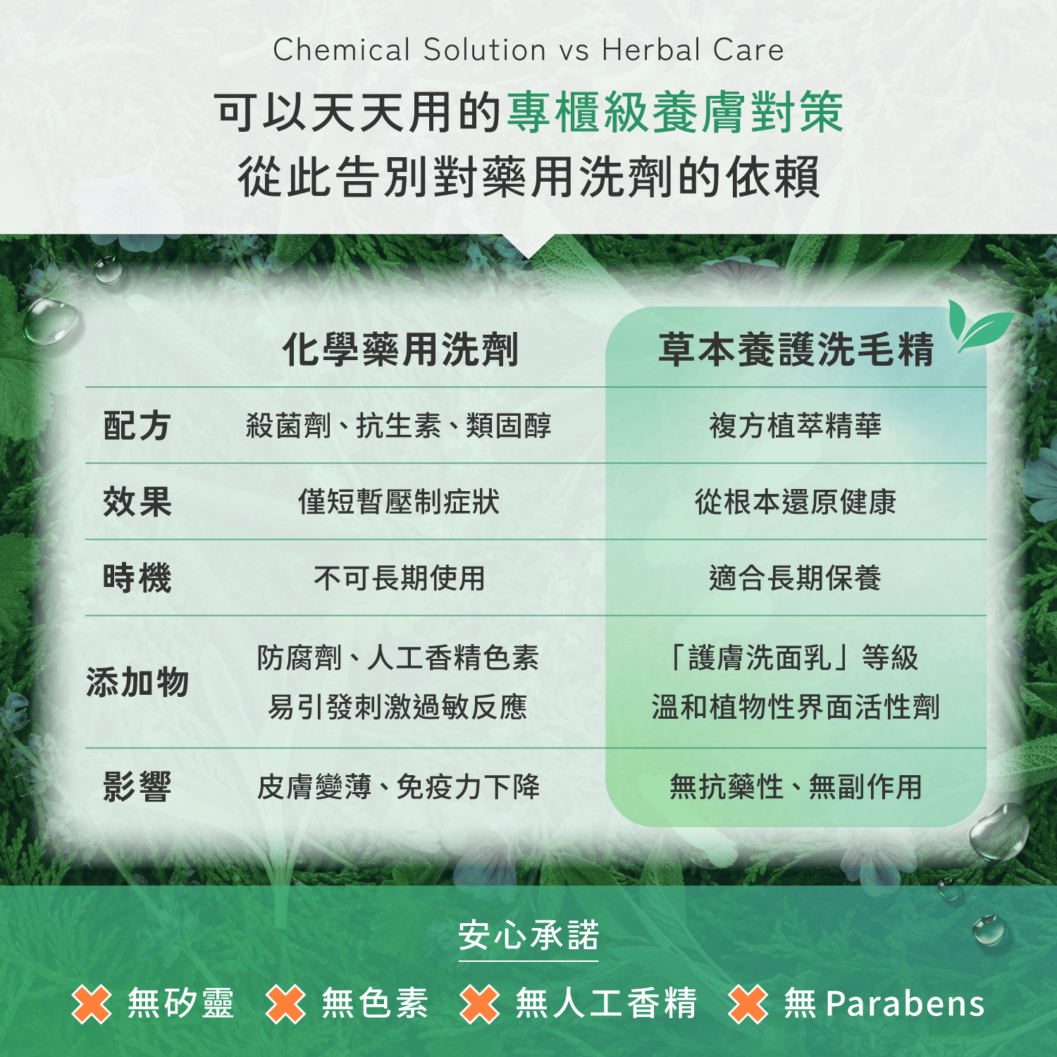 【毛起來】草本養護│癢癢退散洗毛精-汪汪專用