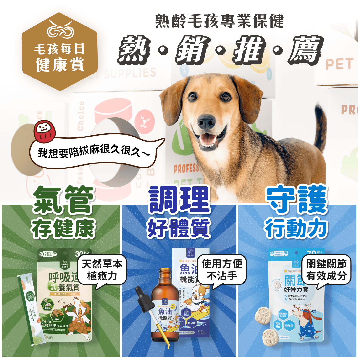 【毛起來】試用體驗組│7歲+銀養好活力賞(3入嘗鮮包)