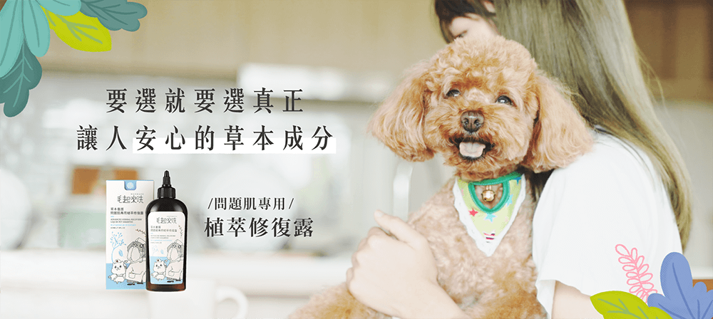 【毛起來】草本養護│問題肌專用植萃修復露