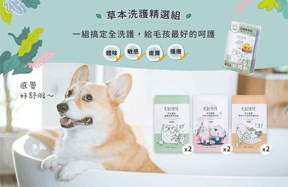 【毛起來】草本養護│癢癢退散洗毛精-汪汪專用