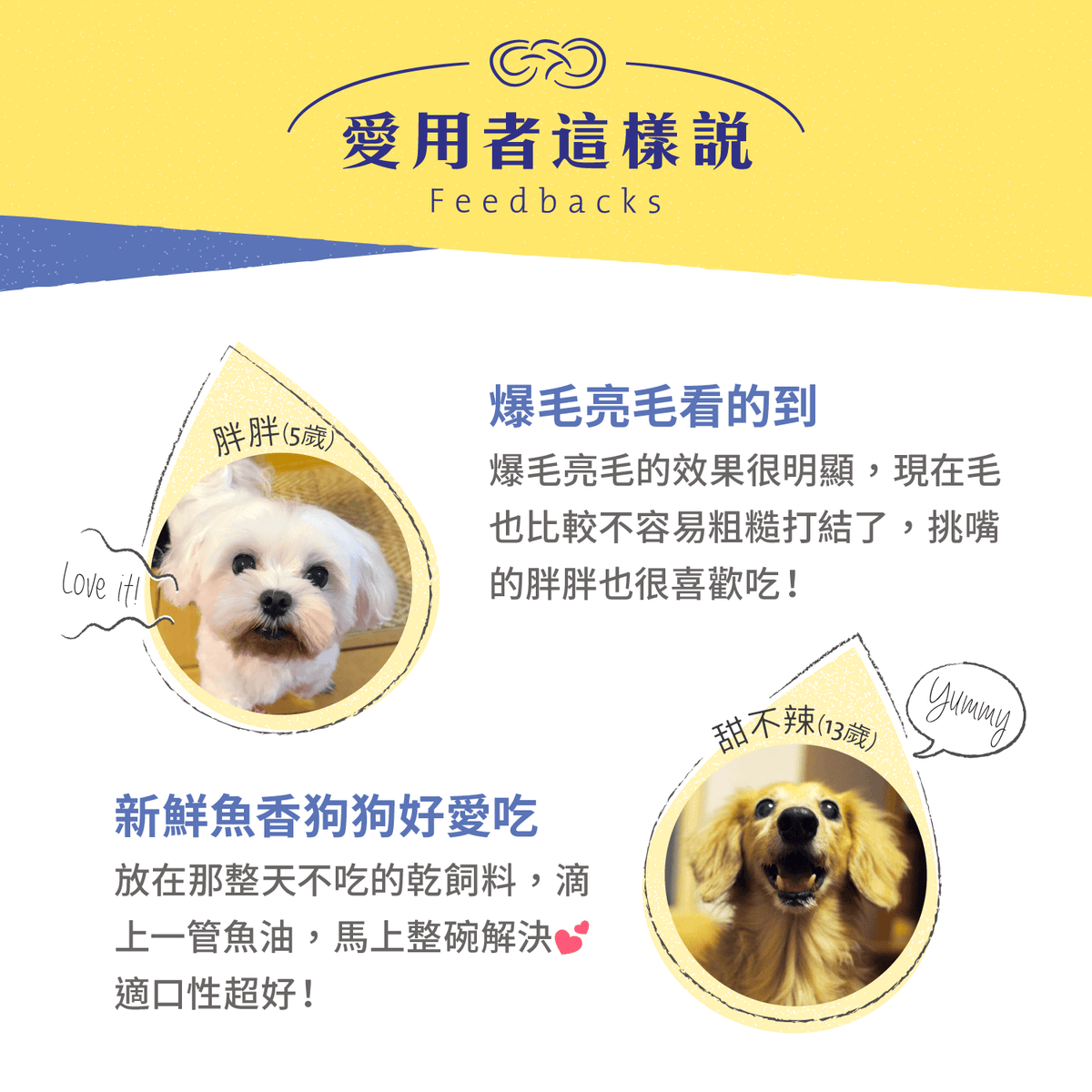 【團購專屬】魚油 EPA+DHA 機能賞
