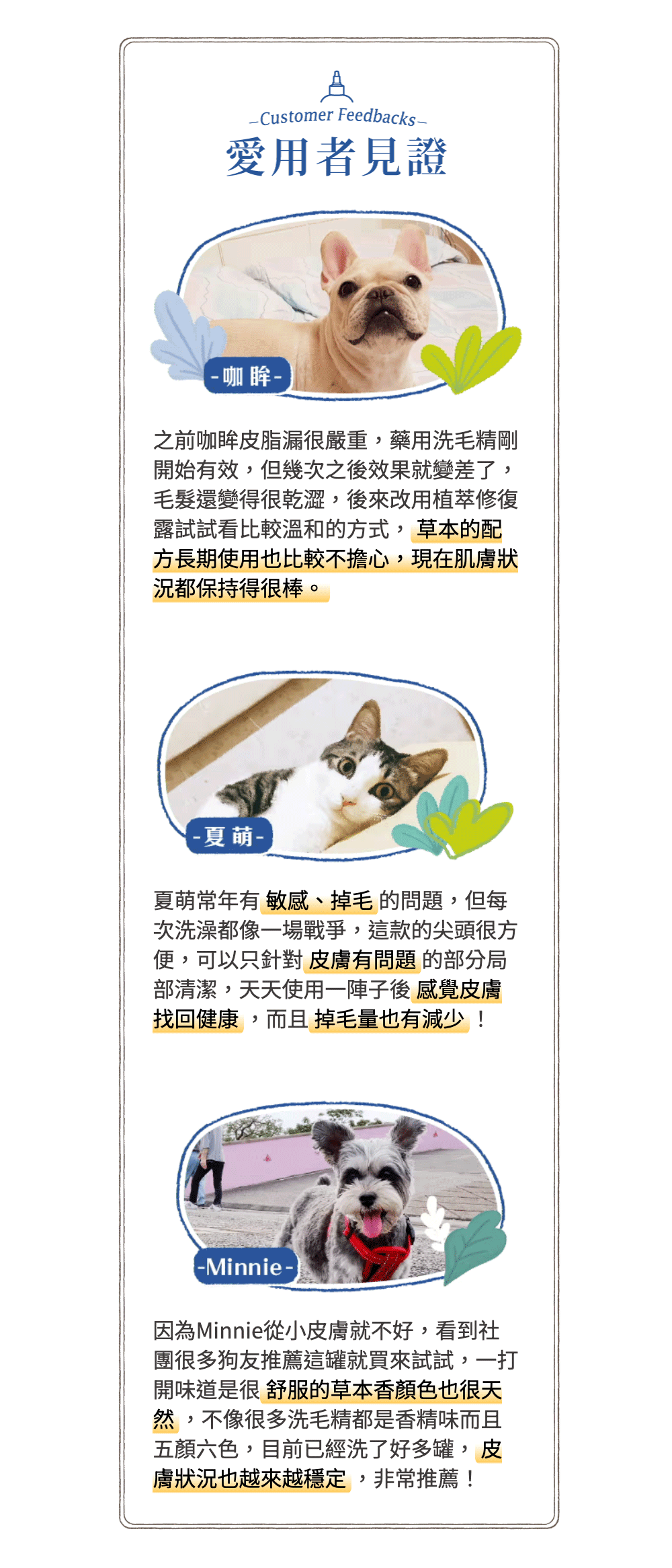 【毛起來】草本養護│問題肌專用植萃修復露