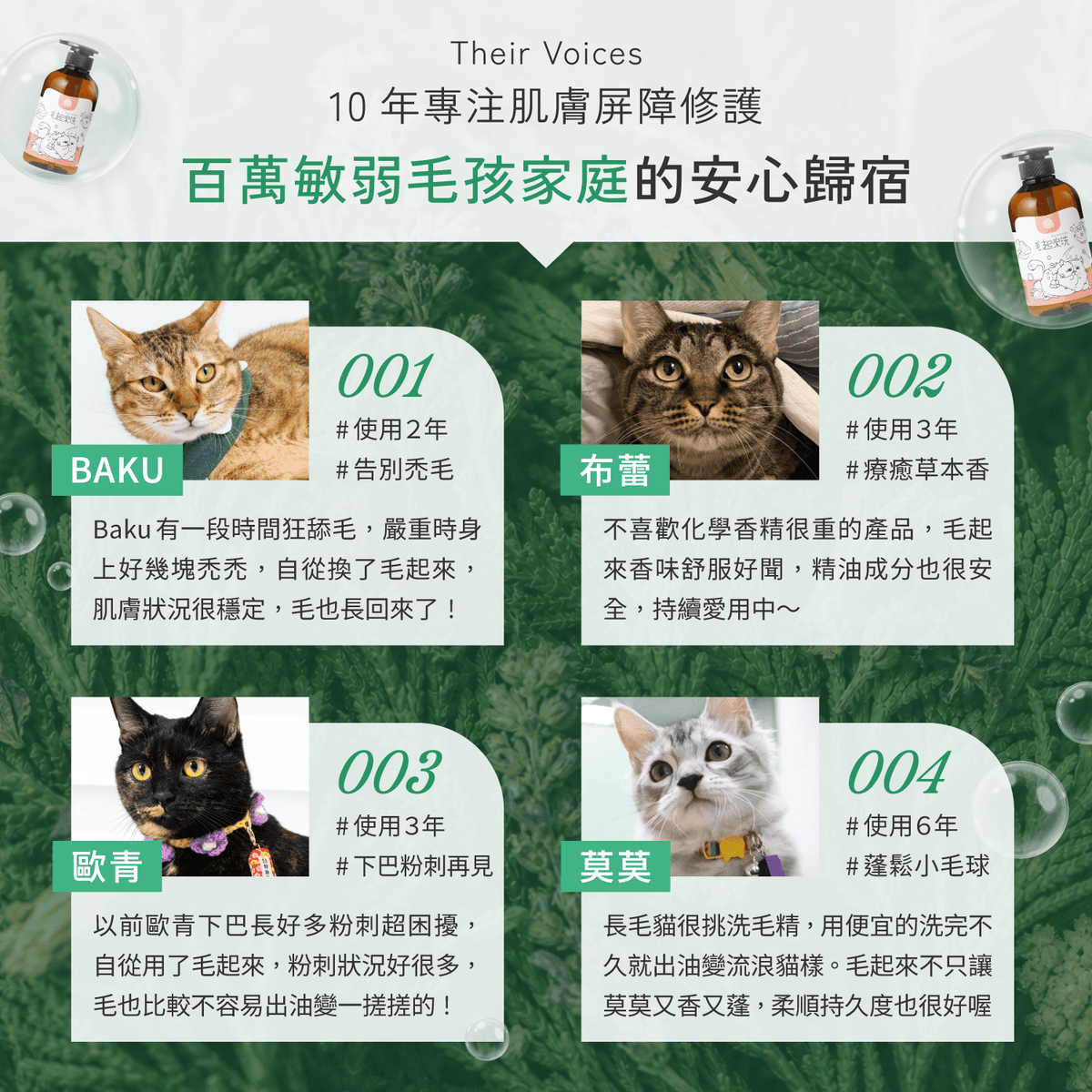 【毛起來】草本養護│癢癢退散洗毛精-貓貓專用